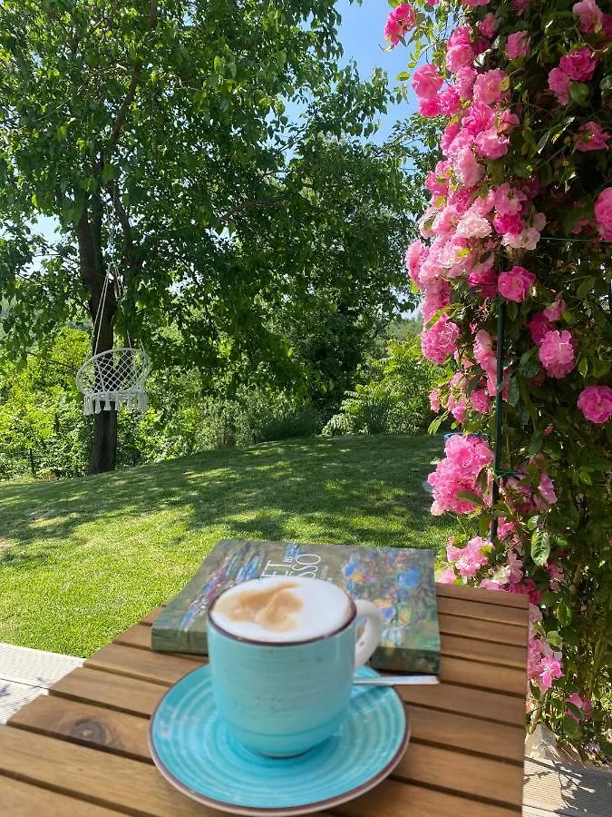 Villa La Vinella With Heated Pool Buje