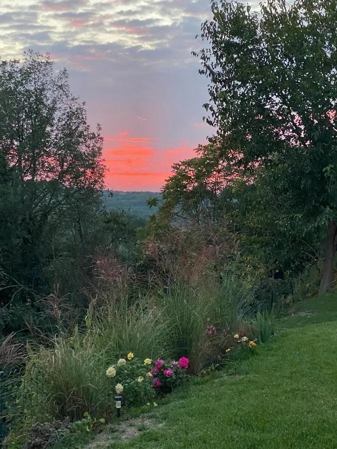 Villa La Vinella With Heated Pool Buje