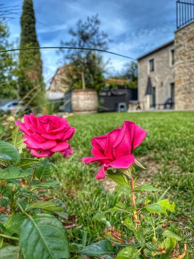 Villa La Vinella With Heated Pool Buje